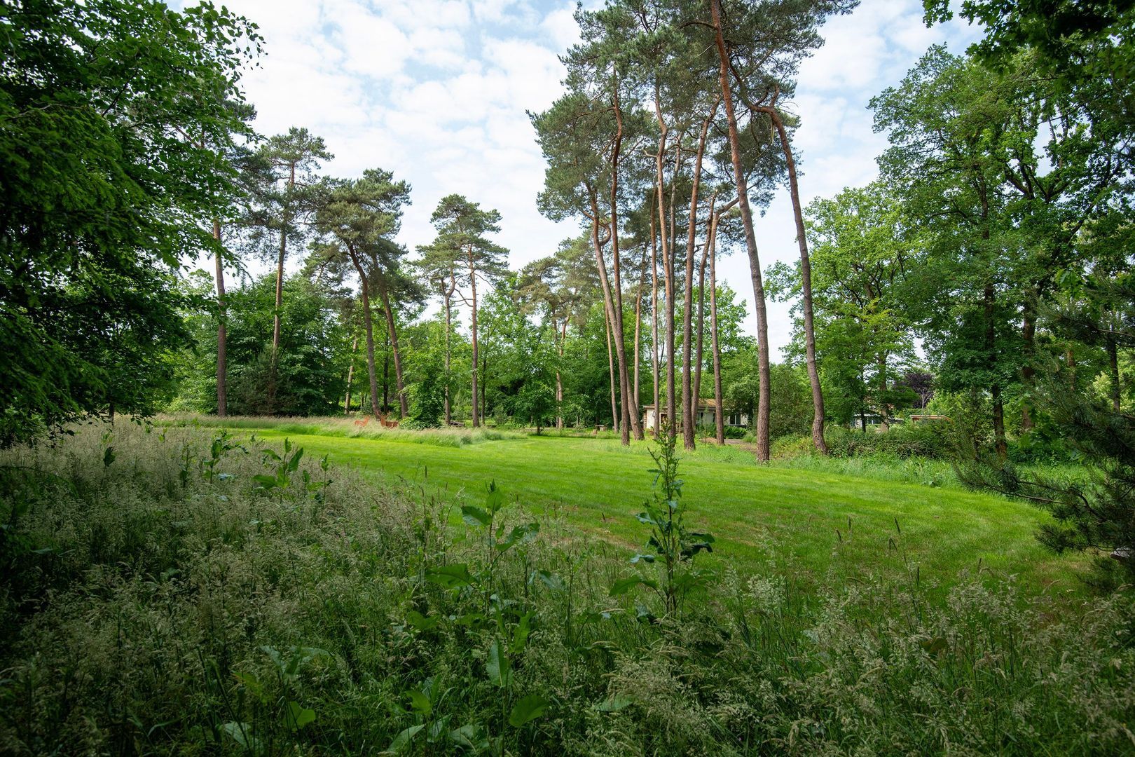 Zuiderveldweg 18 A, Putten foto-29