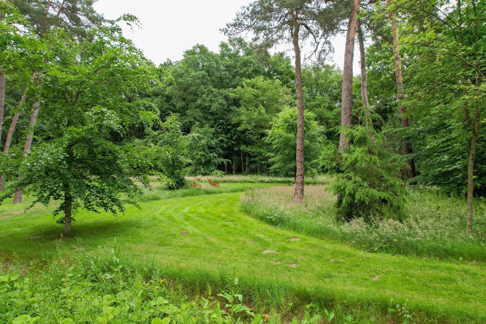 Zuiderveldweg 18 A, Putten foto-3