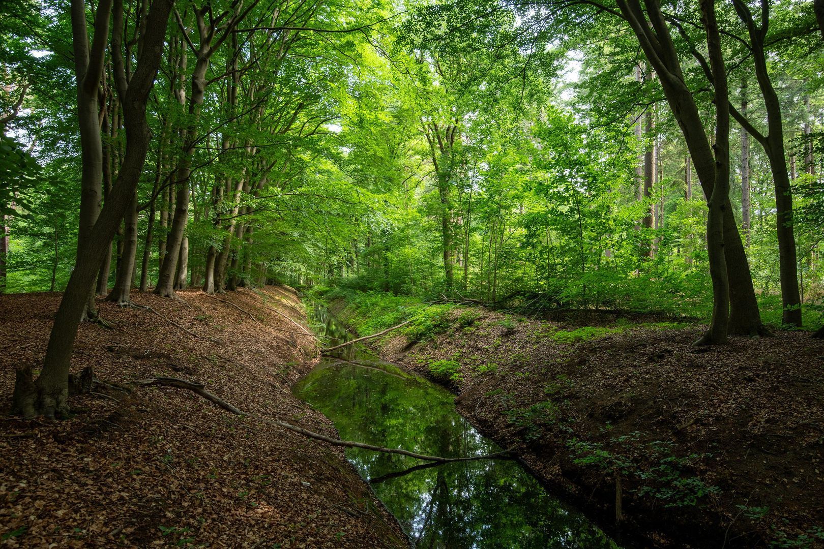Zuiderveldweg 18 A, Putten foto-39