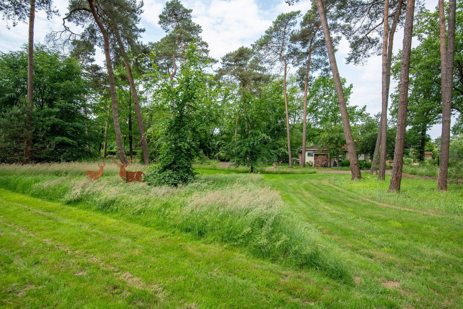 Zuiderveldweg 18 A, Putten foto-30