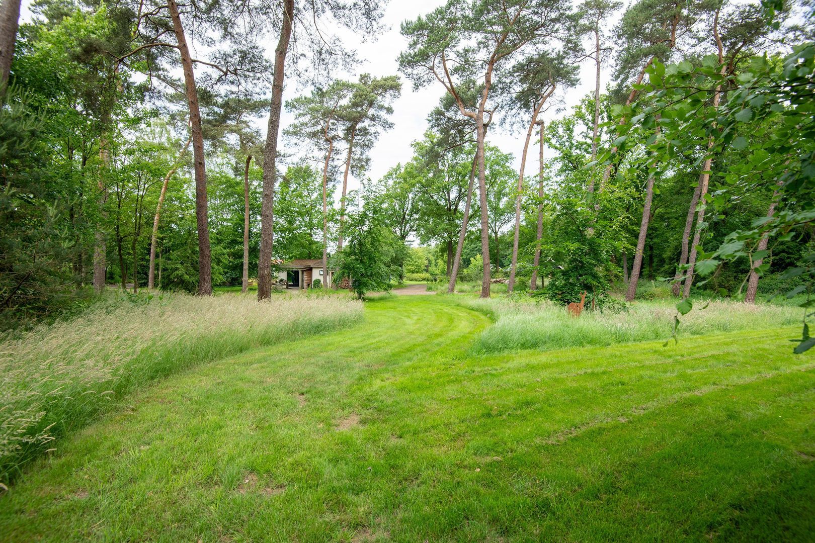 Zuiderveldweg 18 A, Putten foto-22