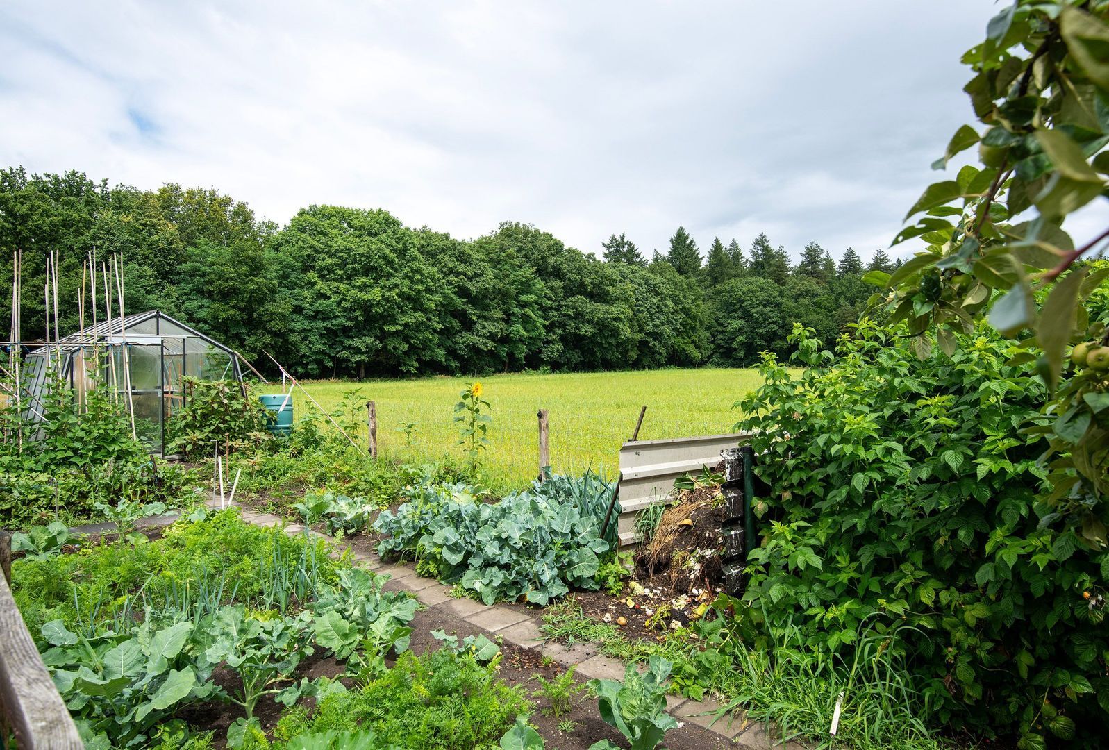 Hessenweg 6, Putten foto-33