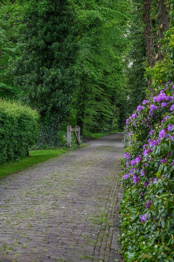 Gervenseweg 24, Putten foto-57