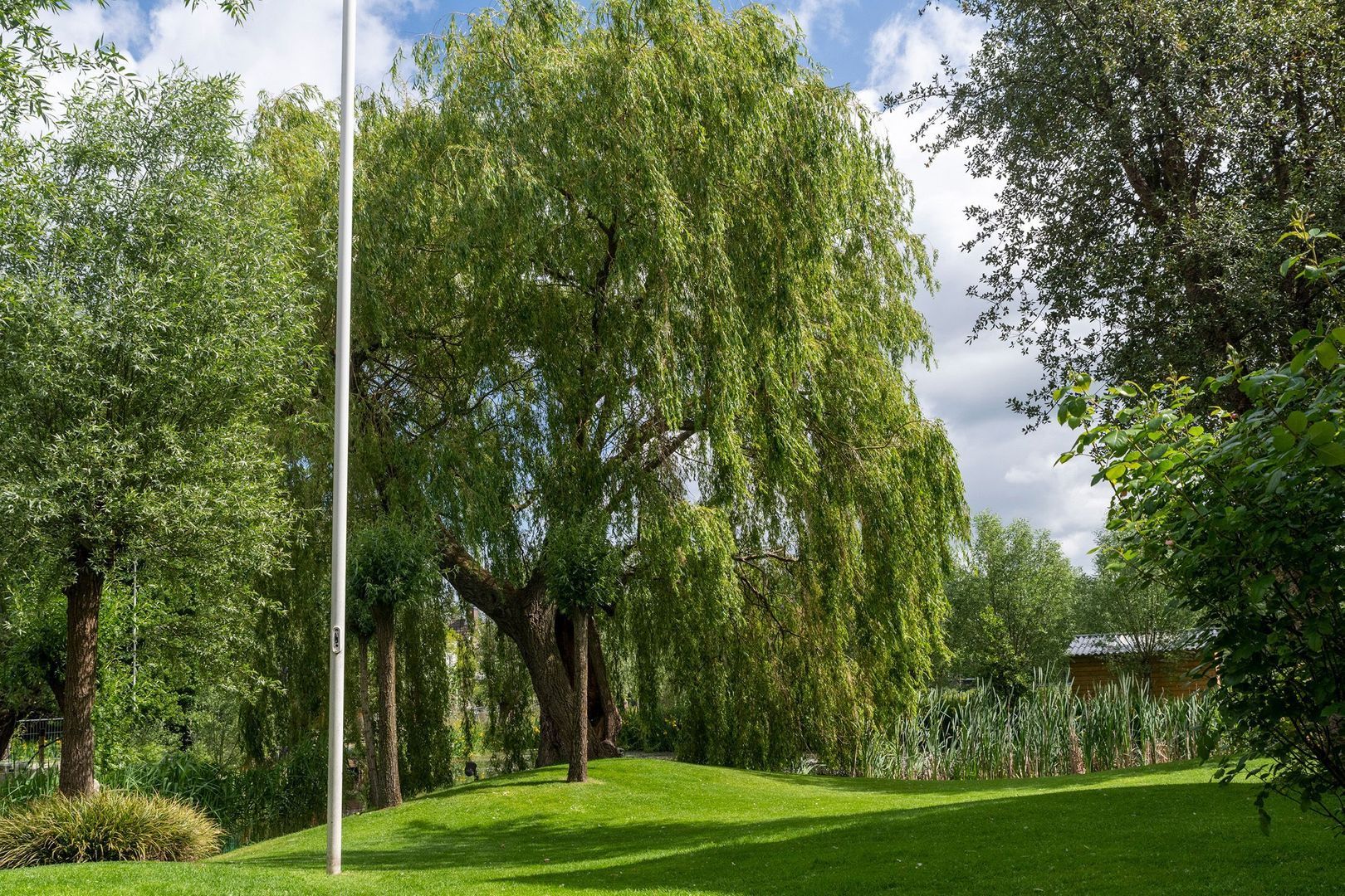 's-Gravenweg 250, Capelle aan den IJssel foto-68