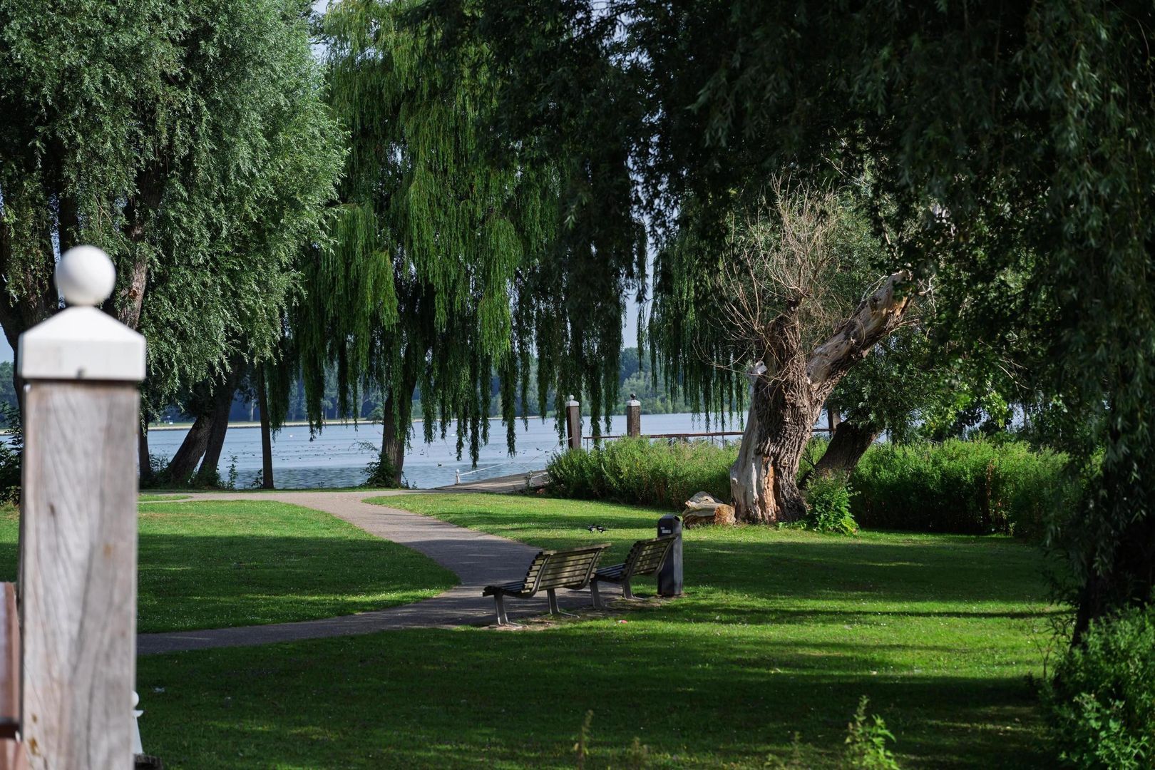 Kralingse Plaslaan 19, Rotterdam foto-6