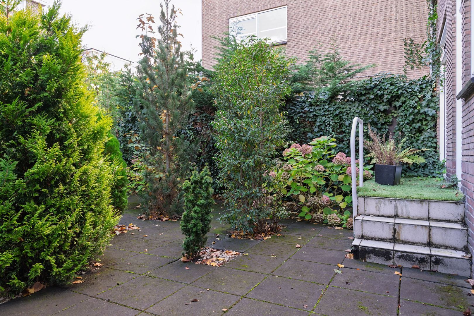 Bickerstraat 18, Rotterdam foto-35