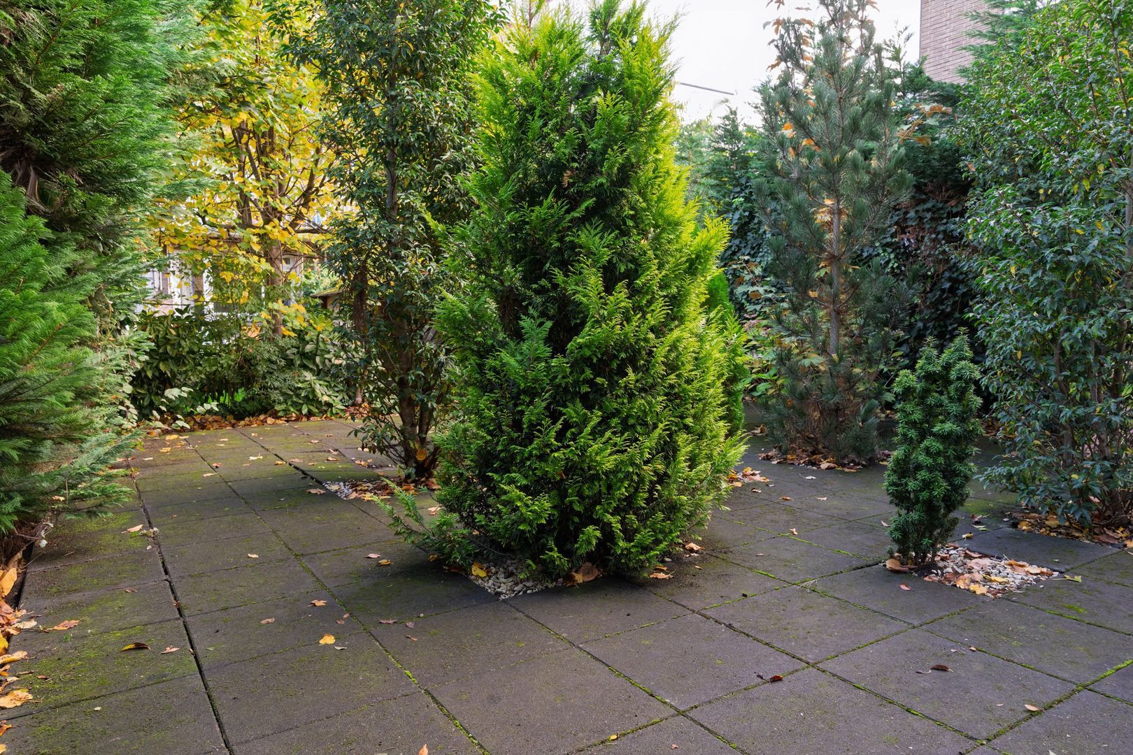 Bickerstraat 18, Rotterdam foto-36