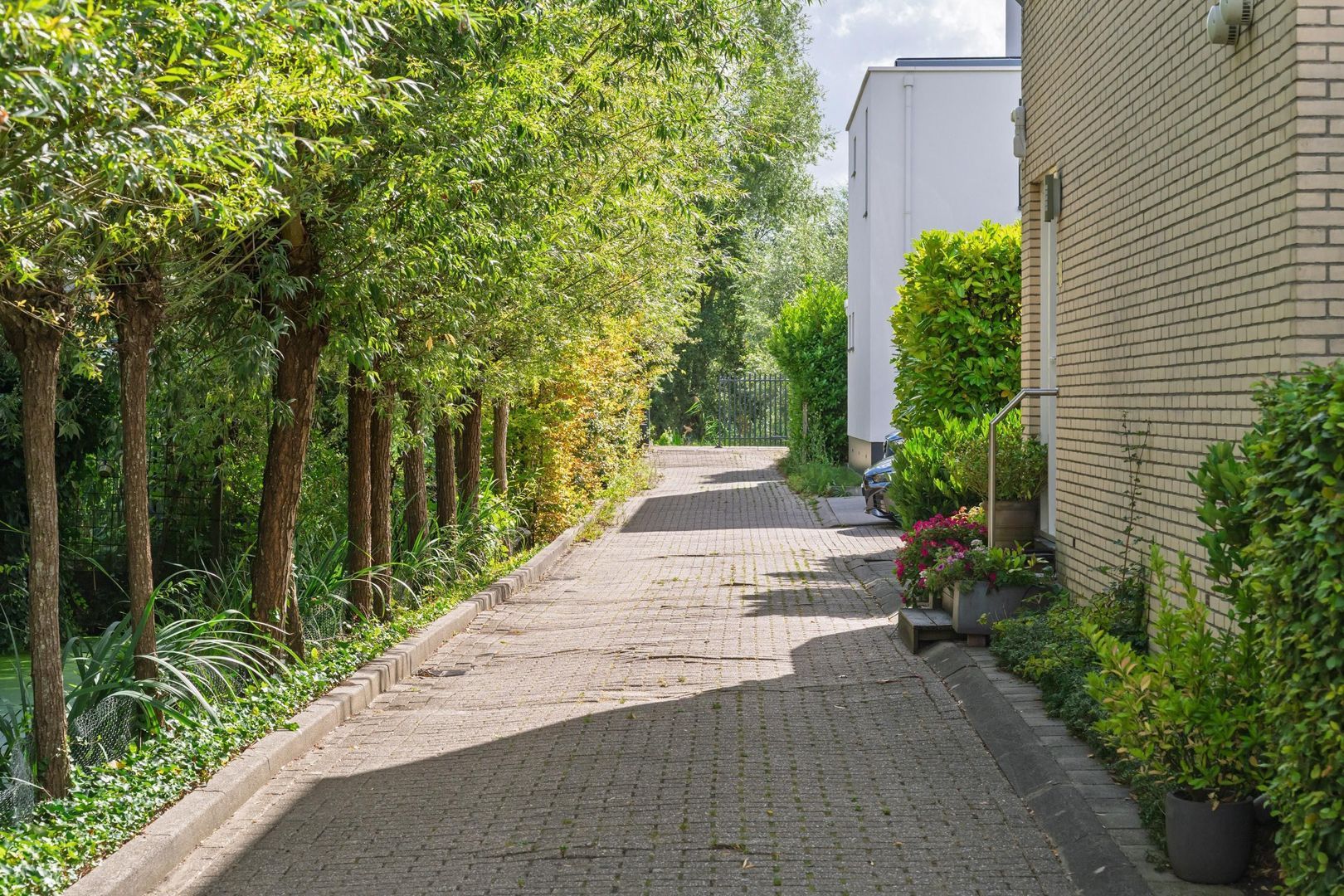 's-Gravenweg 738, Rotterdam foto-6
