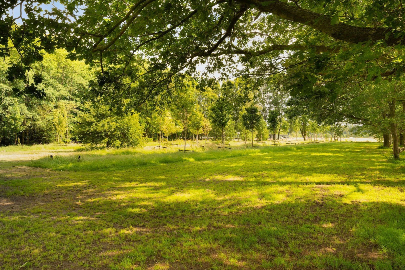 Hoefweg 4, Best foto-47