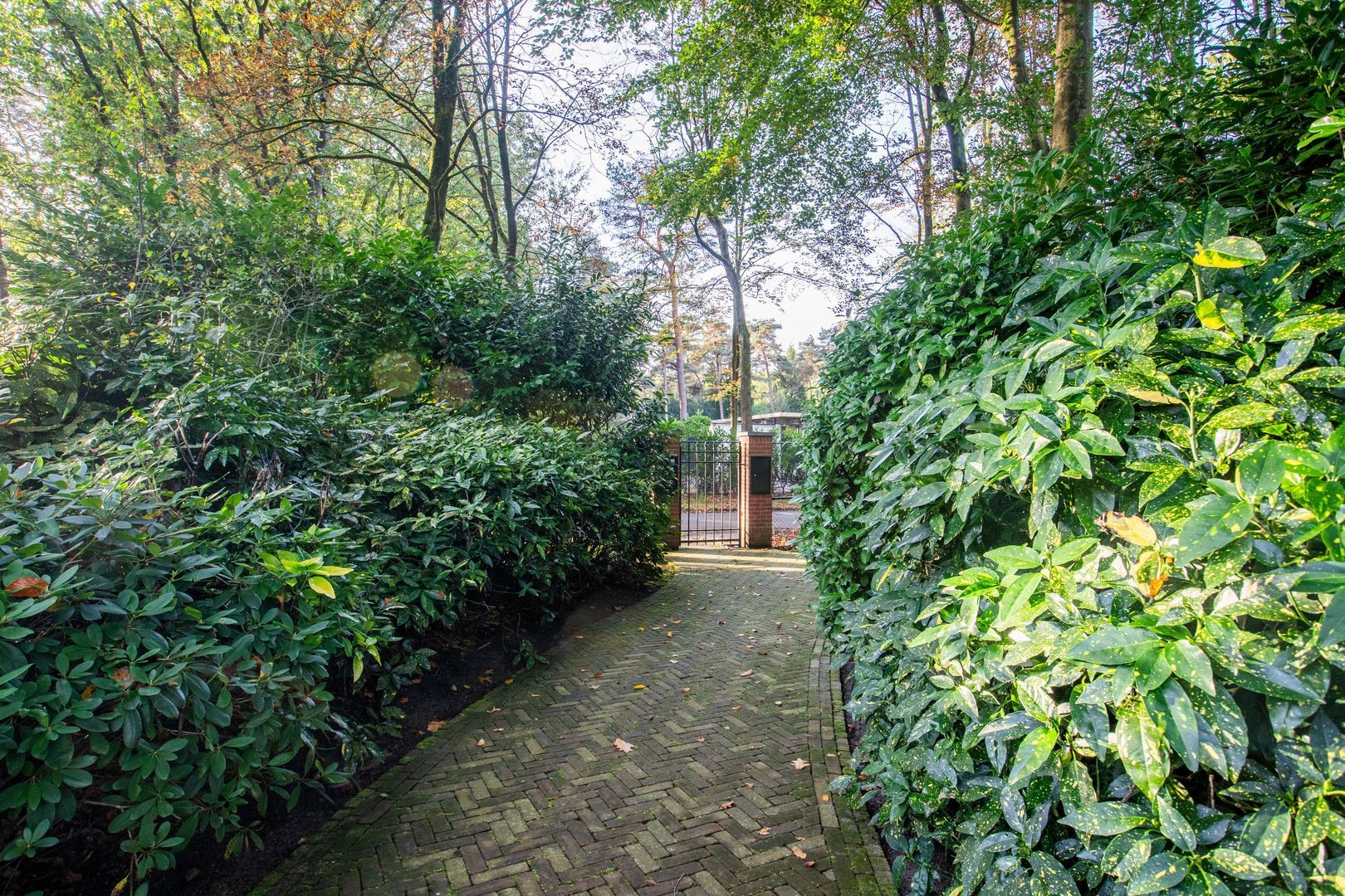 Hondsbergselaan 22, Oisterwijk foto-56