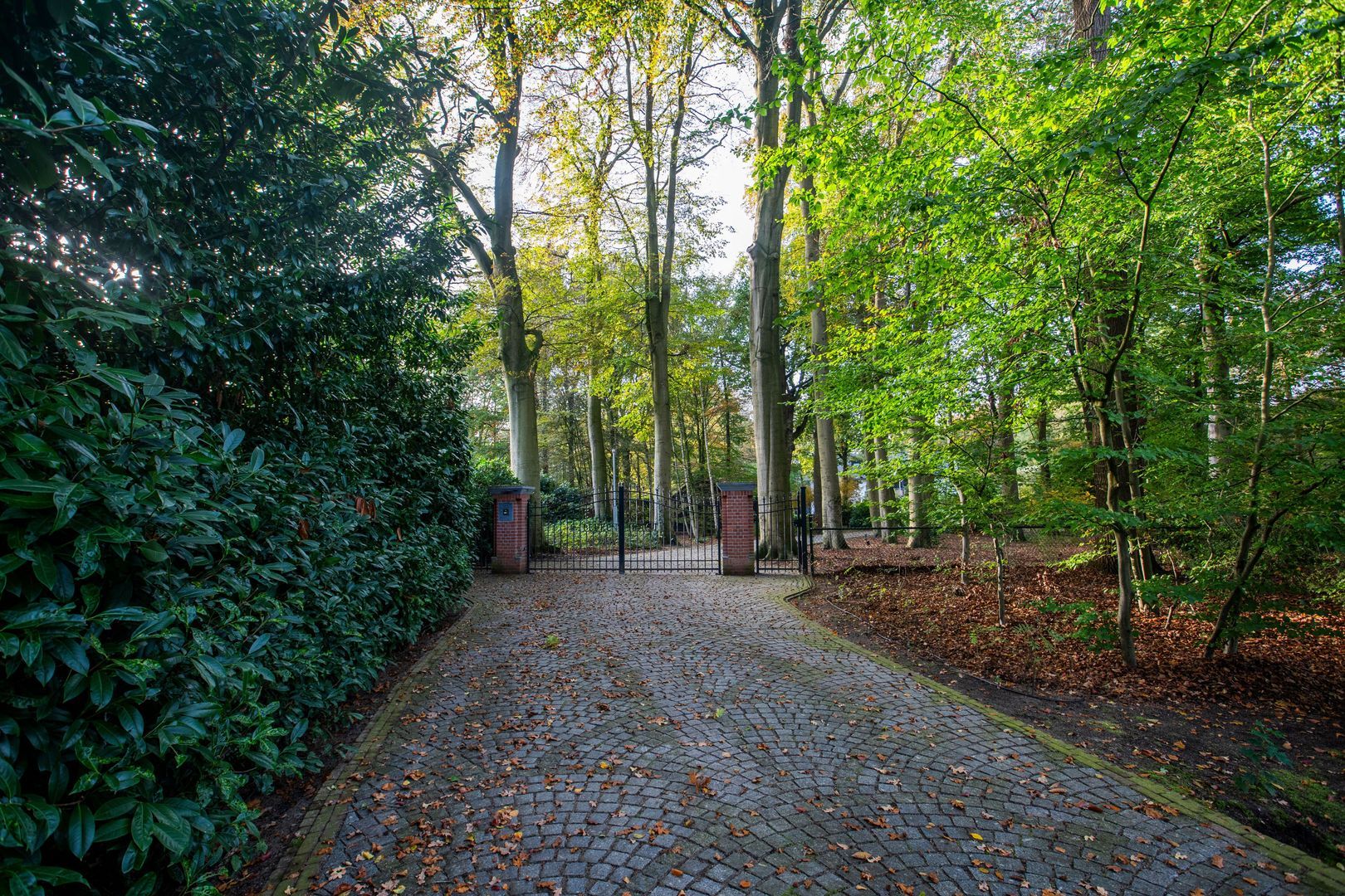 Hondsbergselaan 22, Oisterwijk foto-57