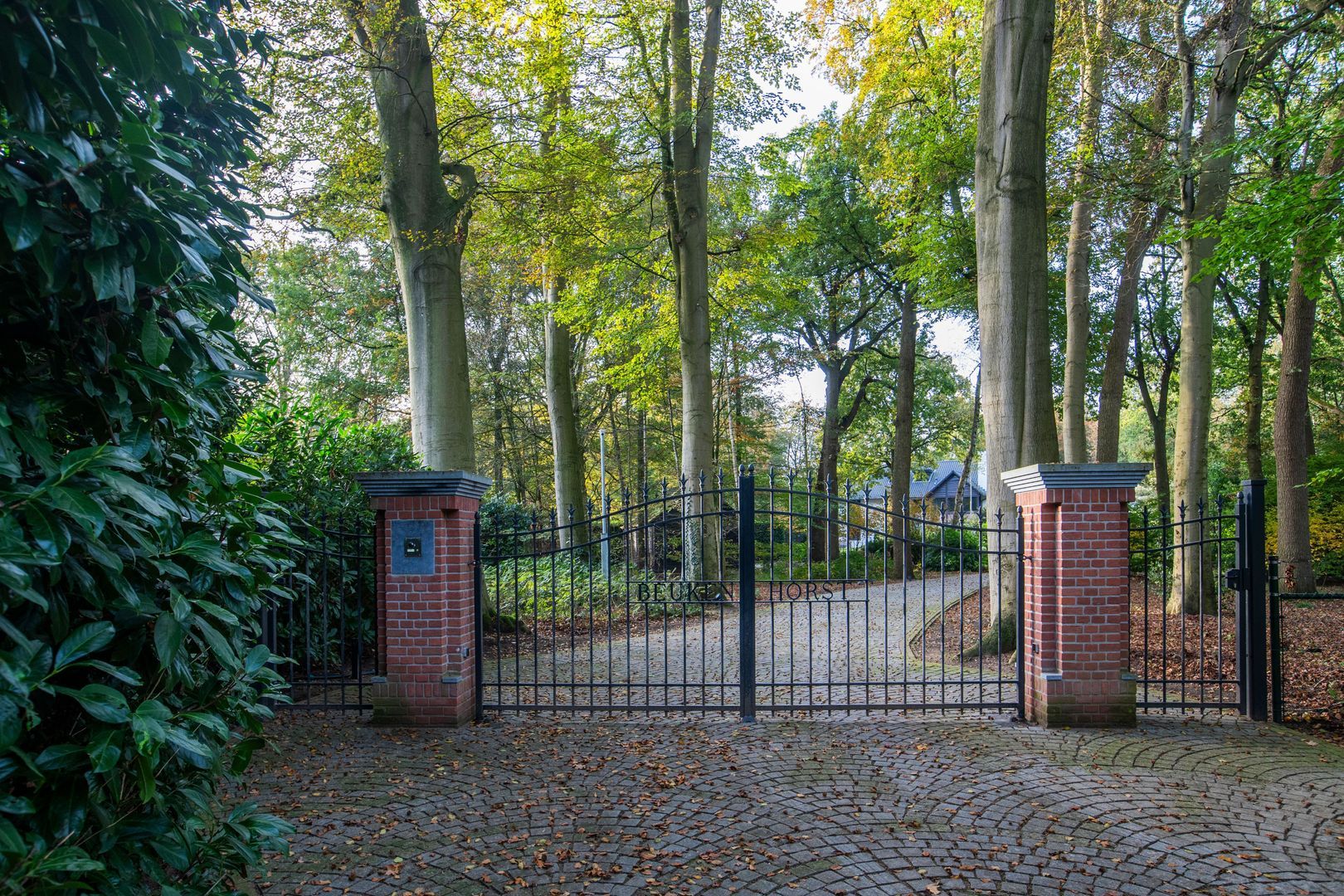 Hondsbergselaan 22, Oisterwijk foto-3