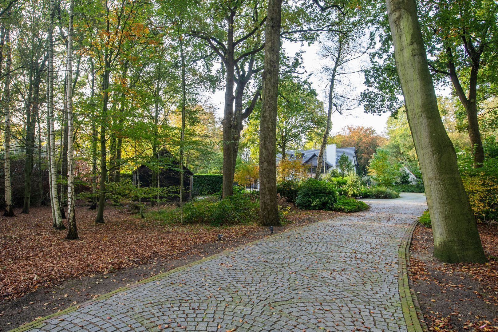 Hondsbergselaan 22, Oisterwijk foto-4