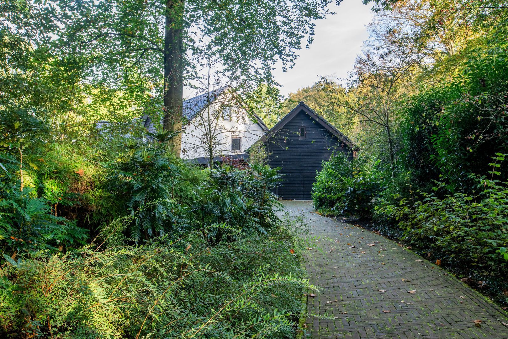 Hondsbergselaan 22, Oisterwijk foto-58