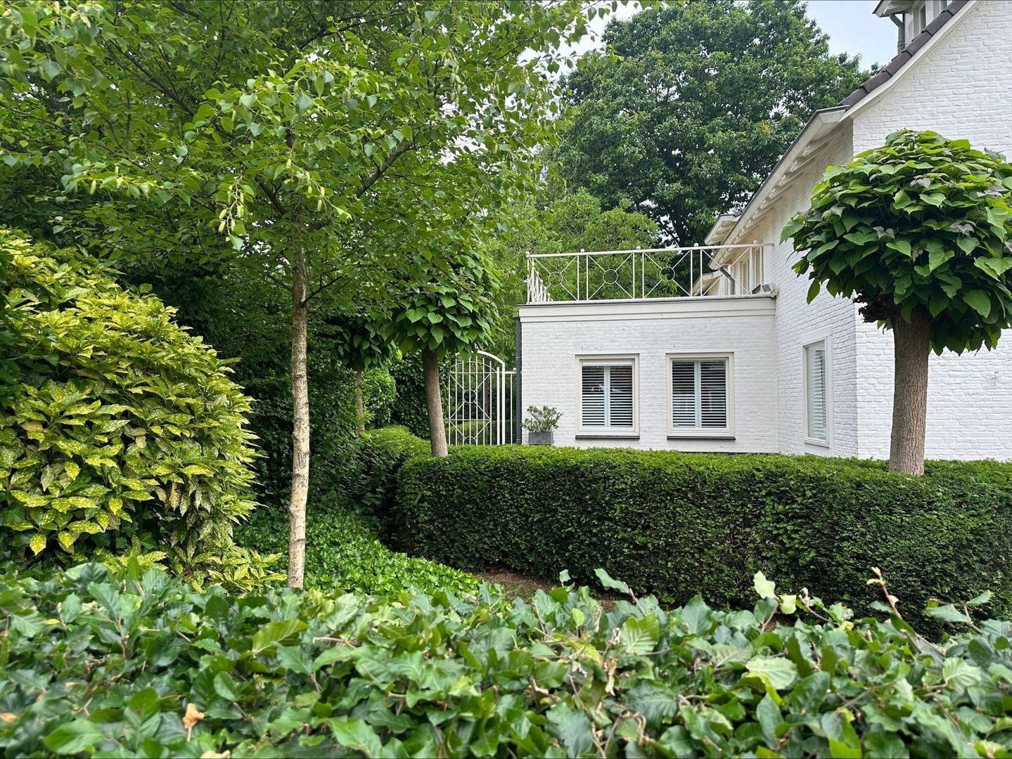 Van Malsenstraat 11, Goirle foto-64