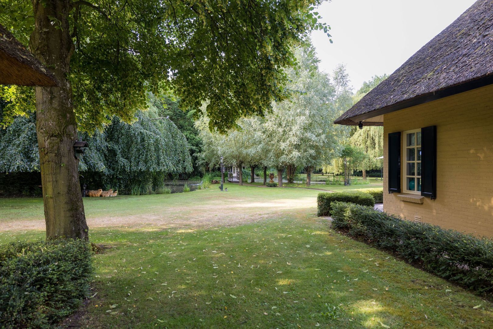 Lieshoutseweg 49, Helmond foto-63