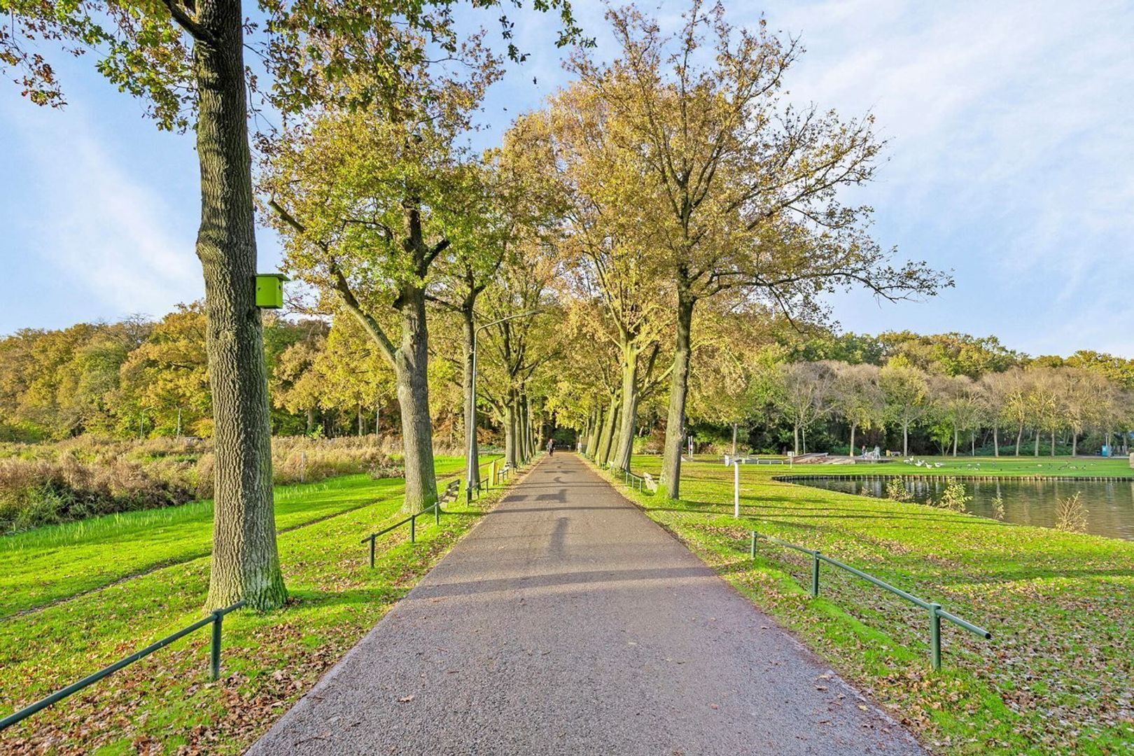 Warandelaan 33, Helmond foto-57