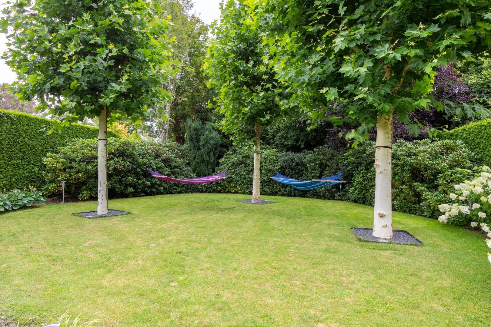 Jan Ettenstraat 6 A, Helmond foto-65