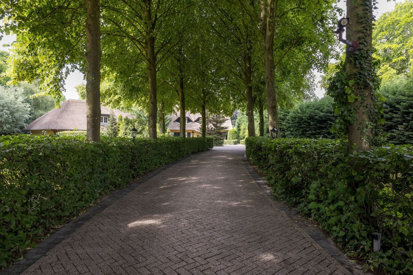 Lieshoutseweg 49, Helmond foto-4