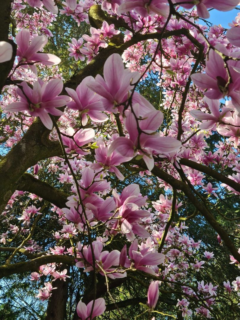 Noord Parallelweg 22, Helmond foto-53