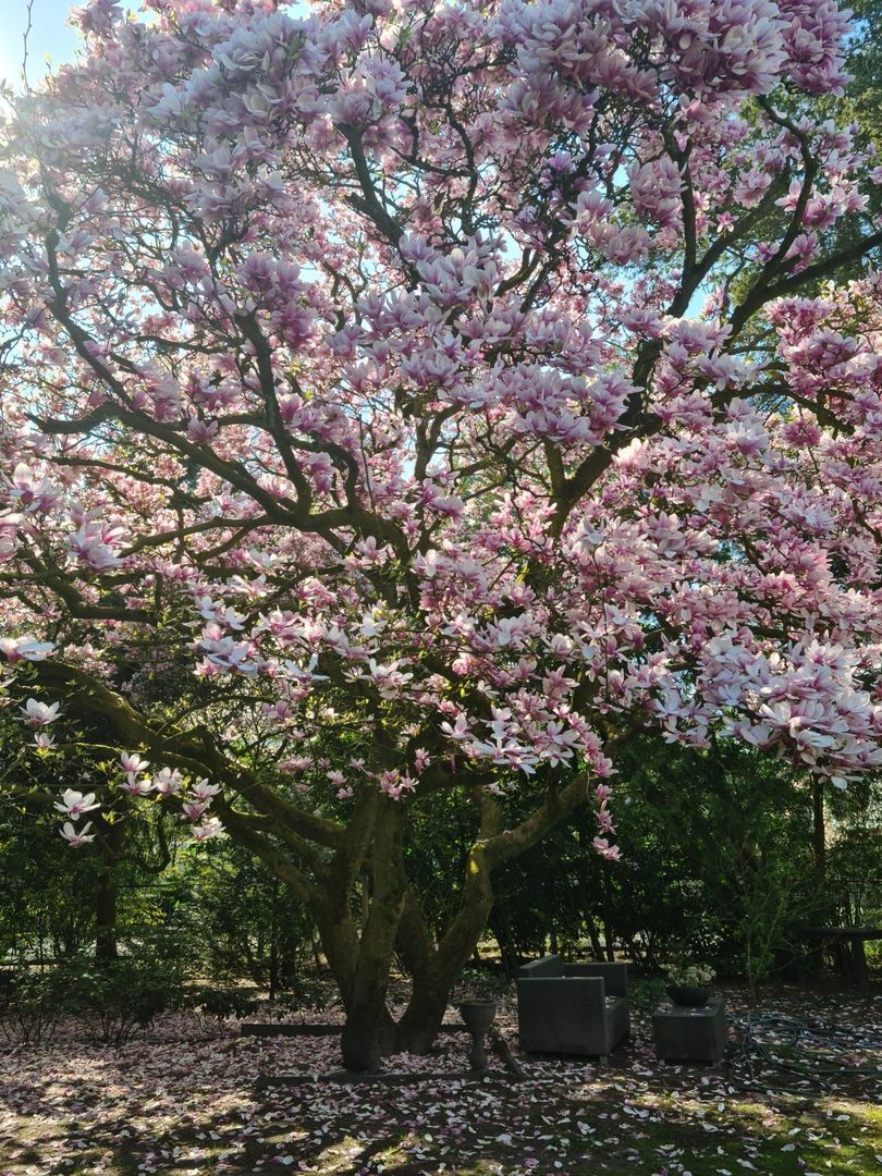 Noord Parallelweg 22, Helmond foto-52