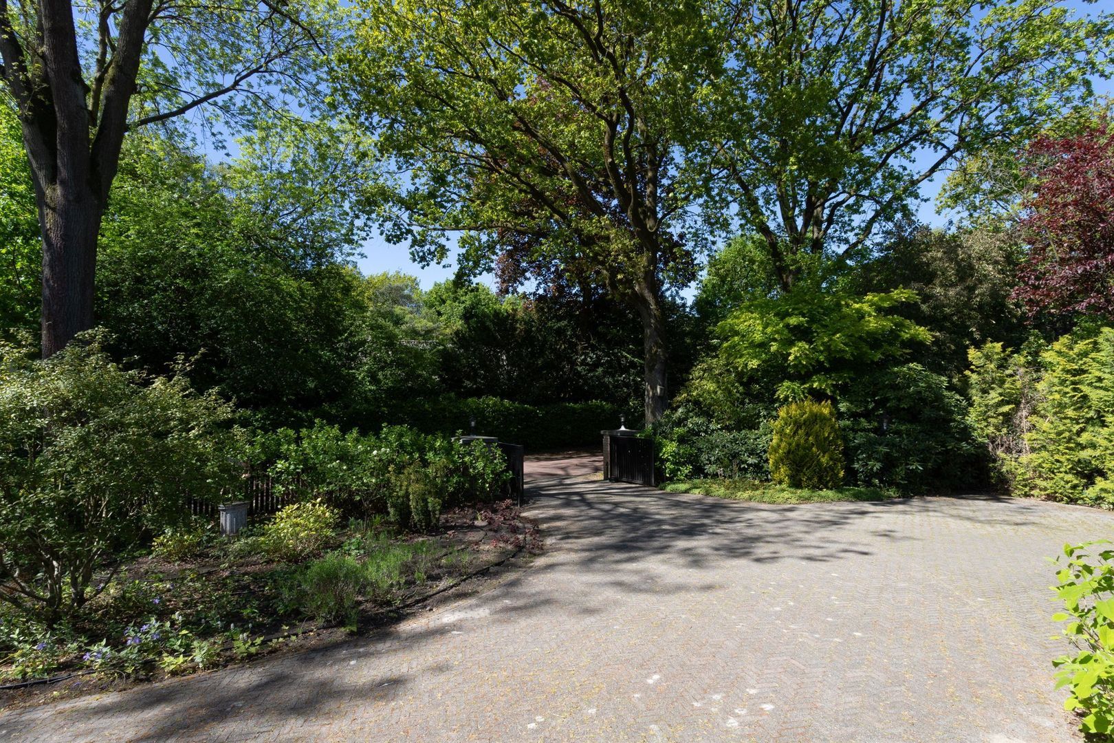 Tivoli 8, Helmond foto-59