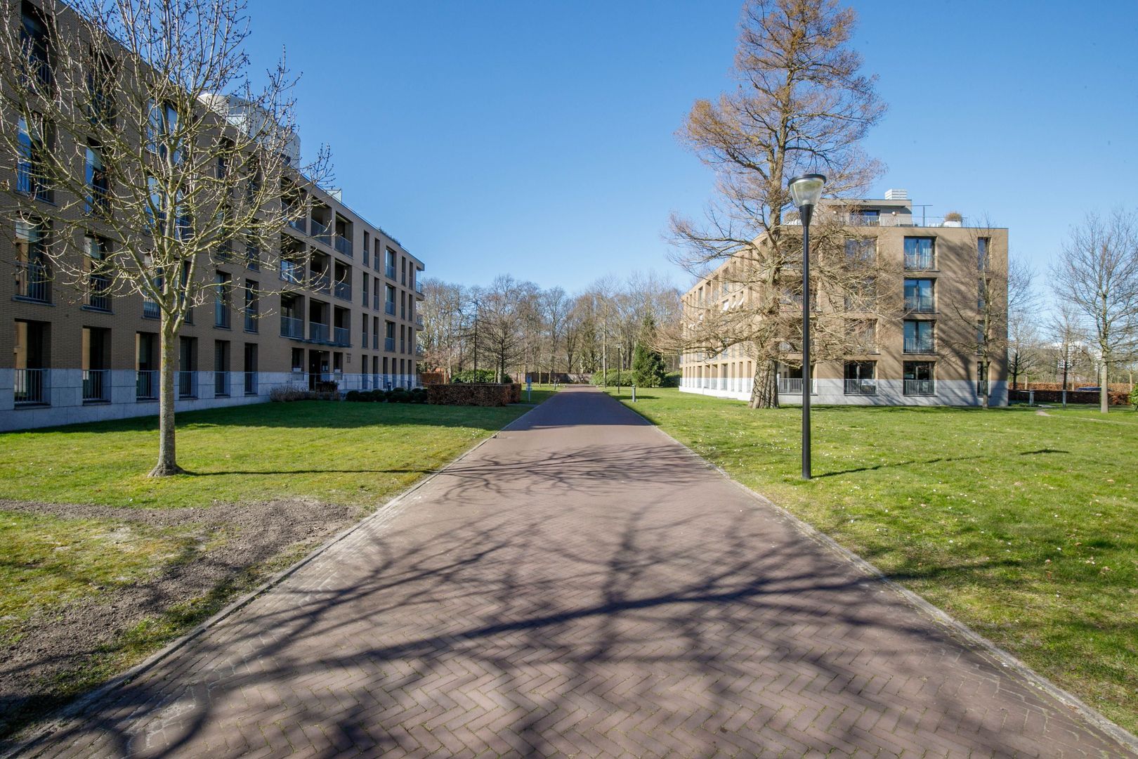 Arentsburghlaan 55, Voorburg foto-44