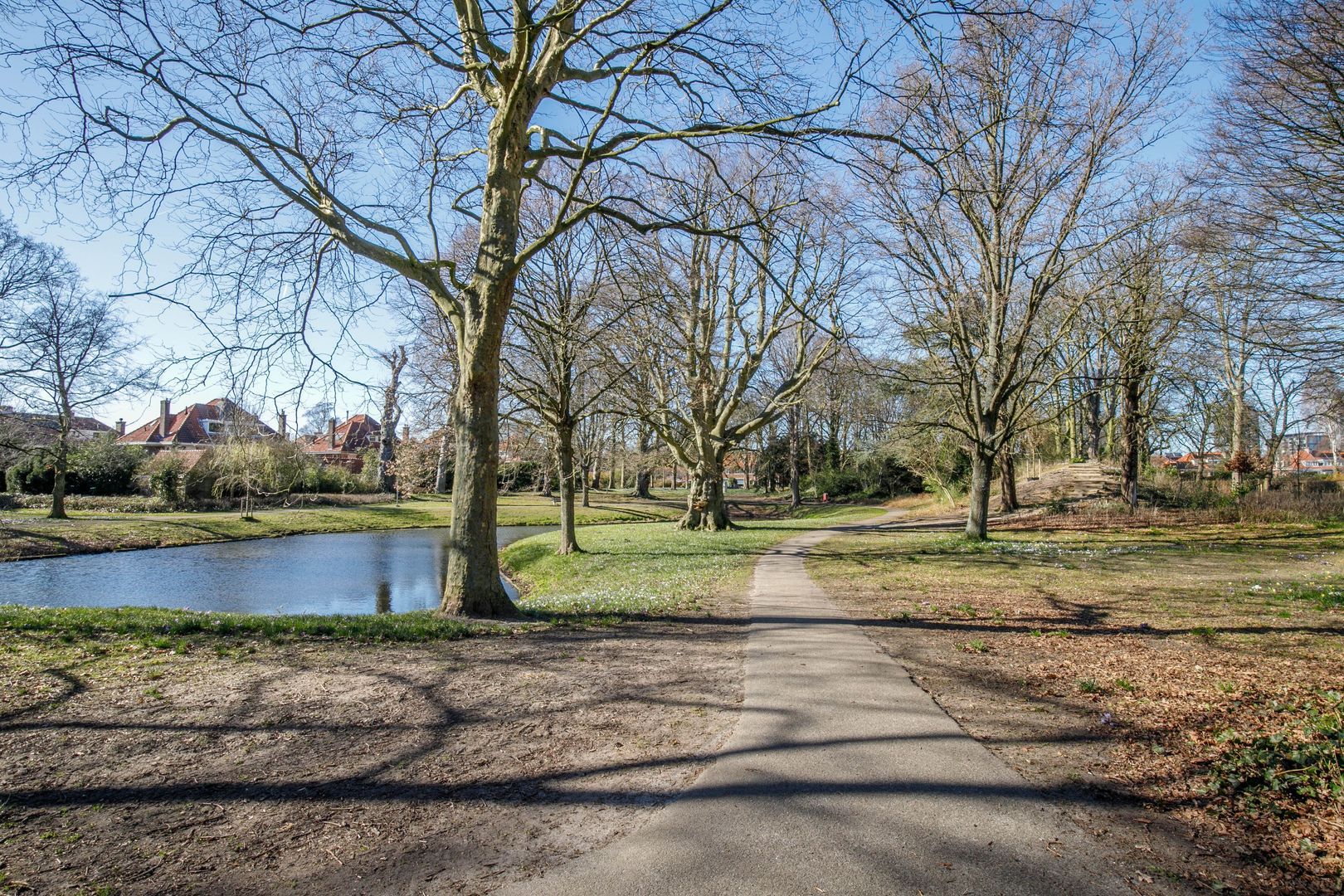 Arentsburghlaan 55, Voorburg foto-46