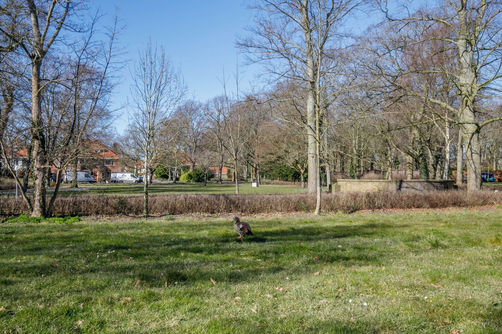 Arentsburghlaan 55, Voorburg foto-43