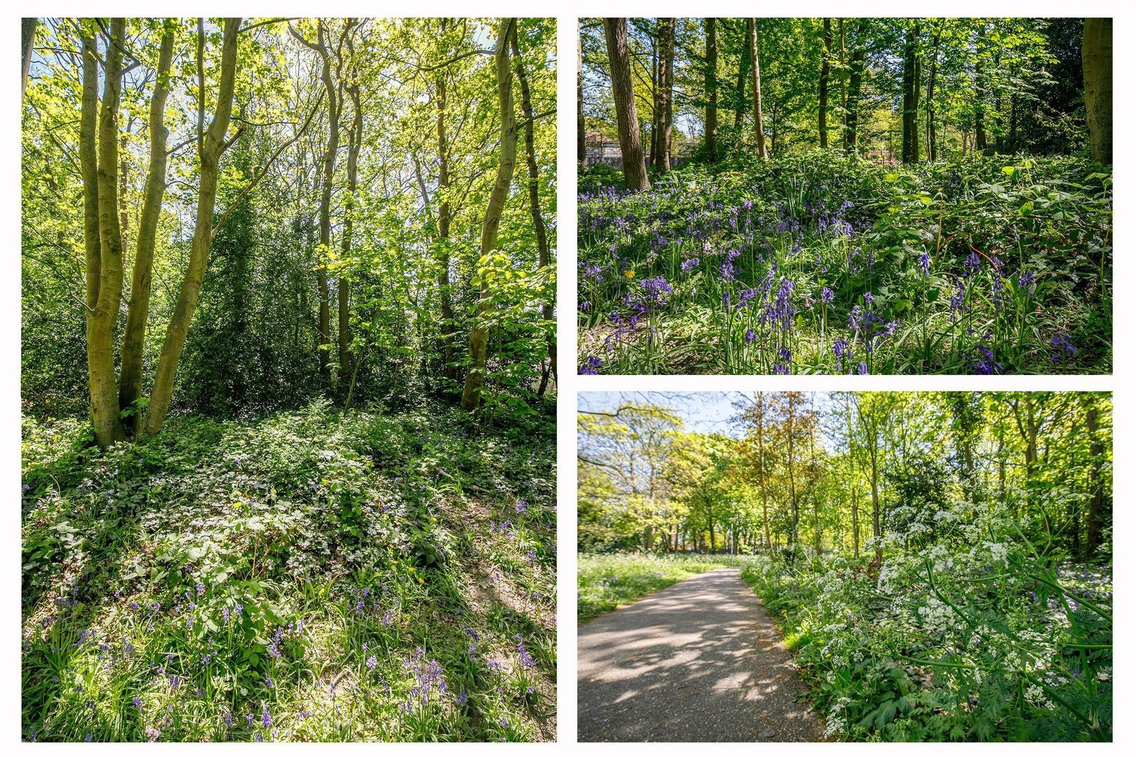 Max Euweweg 41, Den Haag foto-43