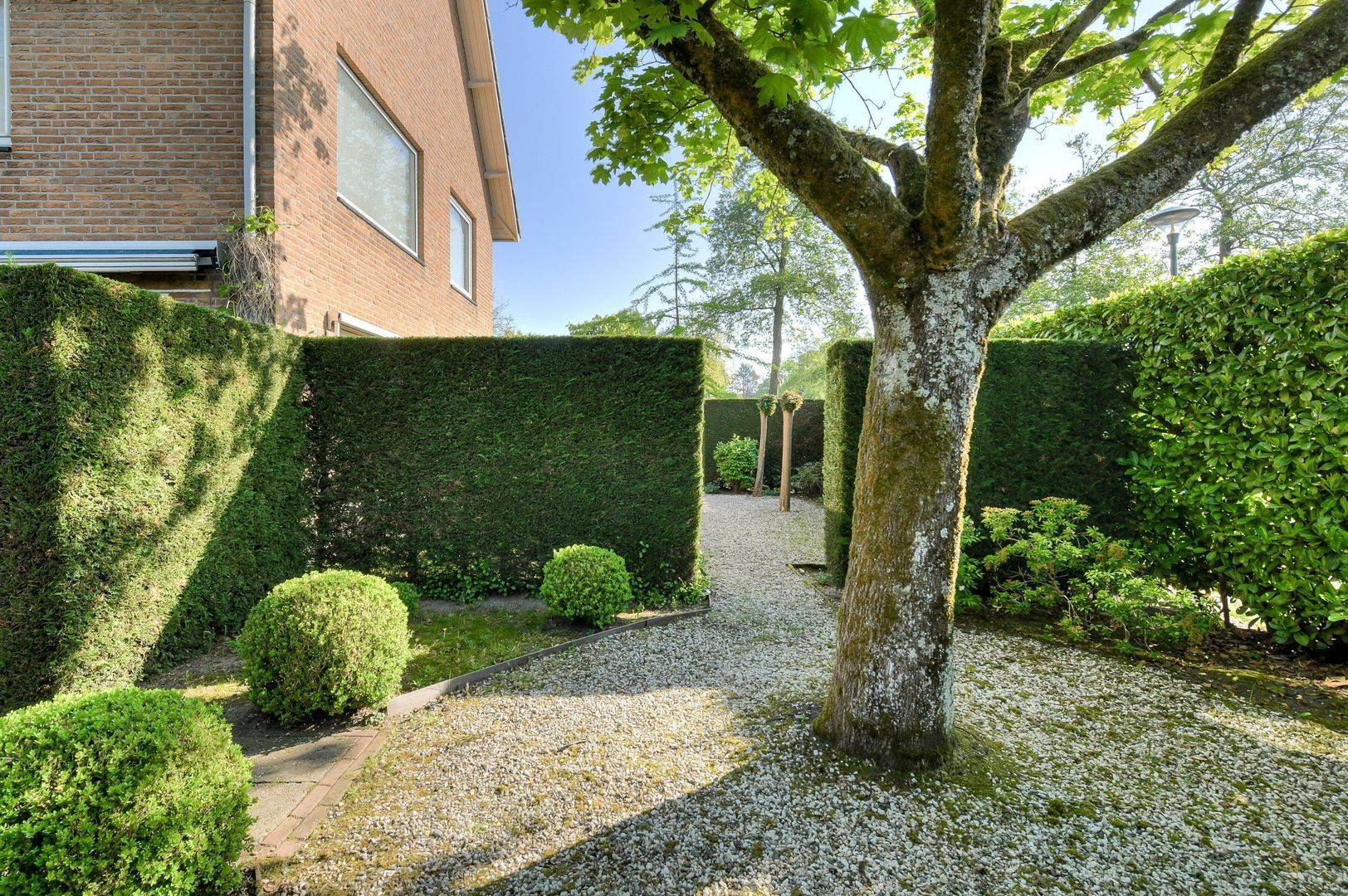 Lange Voren 24, Oosterhout foto-31