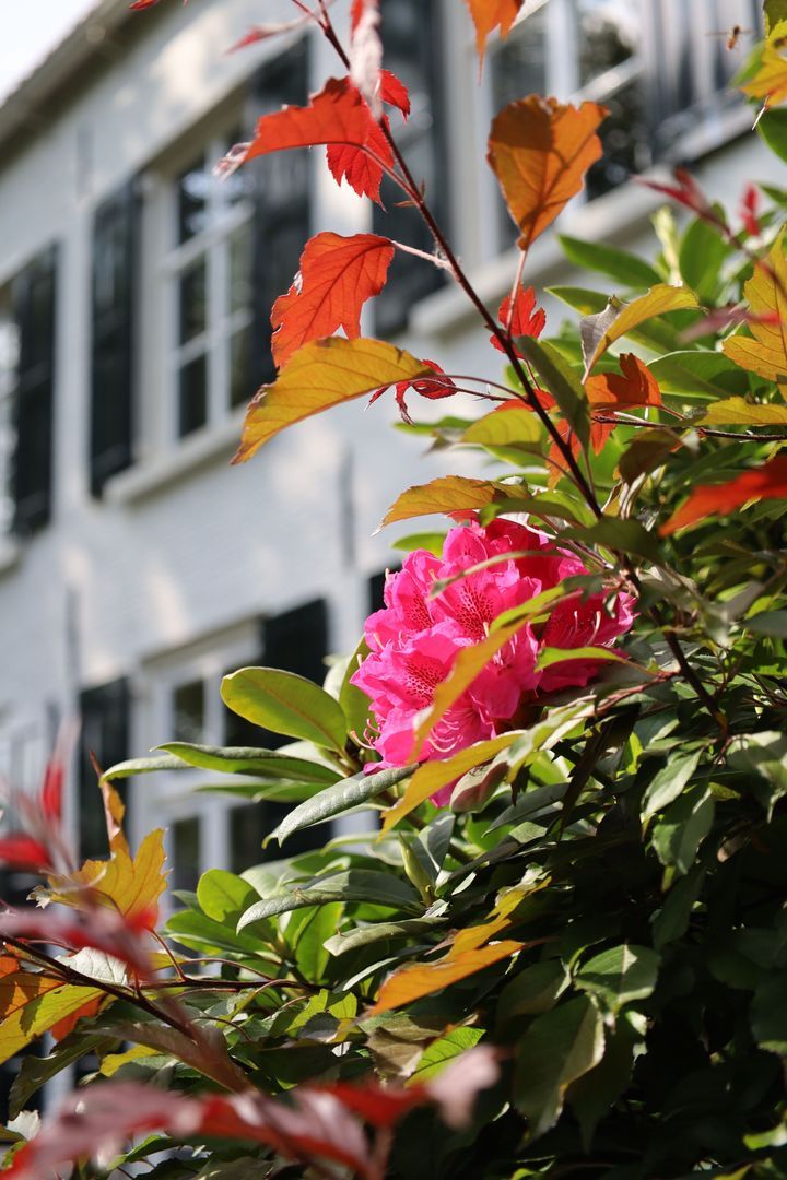 Ridderstraat 80, Oosterhout foto-35