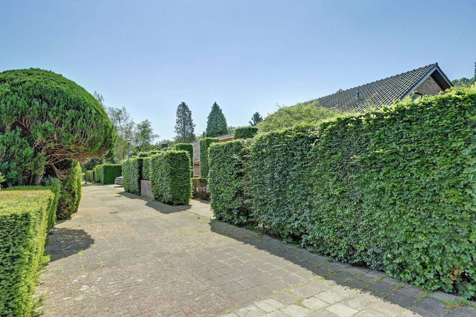 Wijde Omloop 68, Oosterhout foto-8