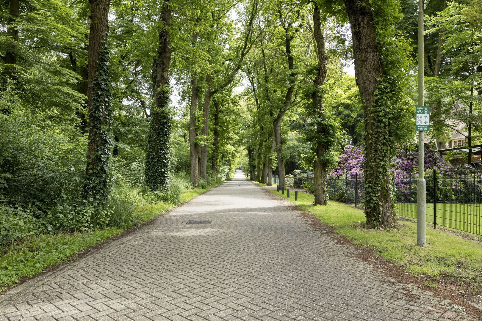 Kemperbergerweg 219, Arnhem foto-32