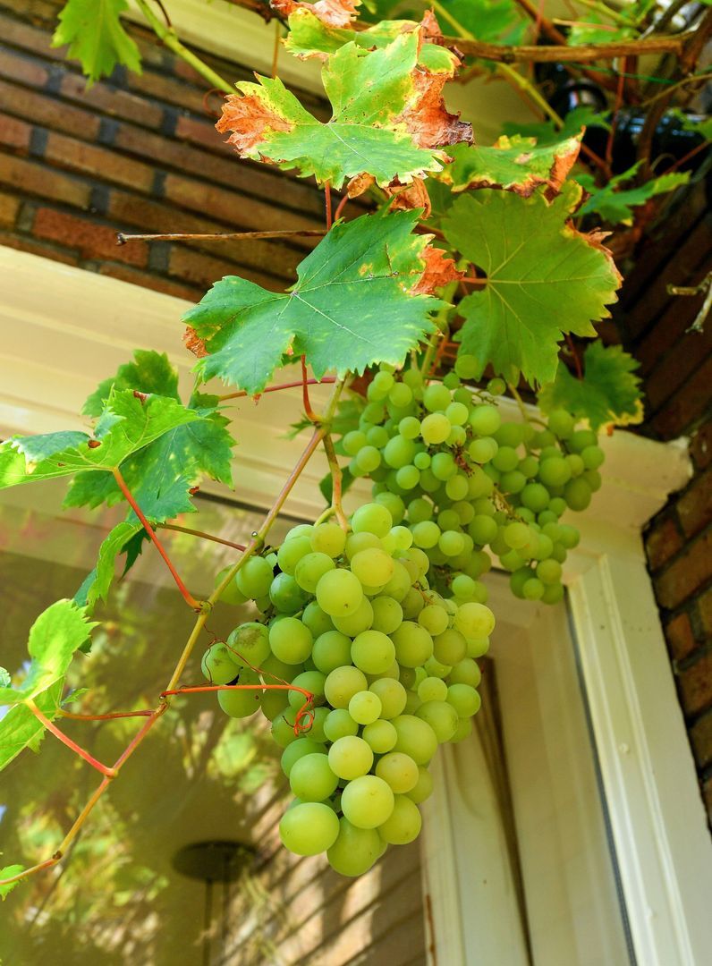 Van Heemstralaan 96, Arnhem foto-39