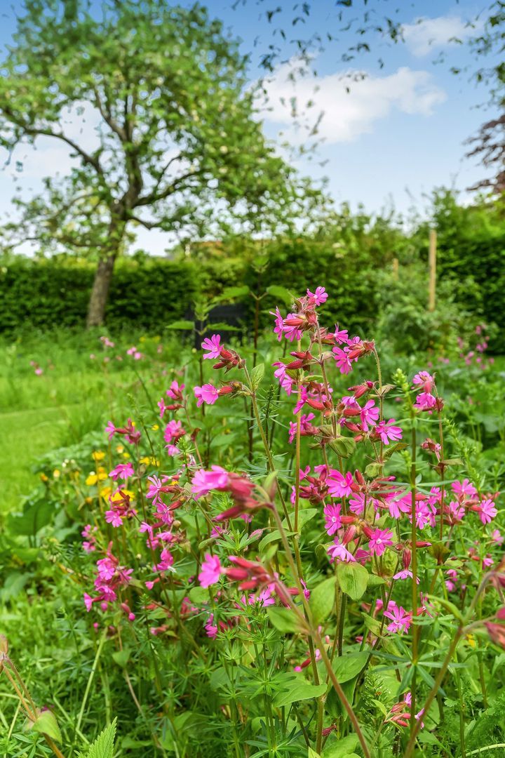 Koepoortstraat 44, Doesburg foto-76