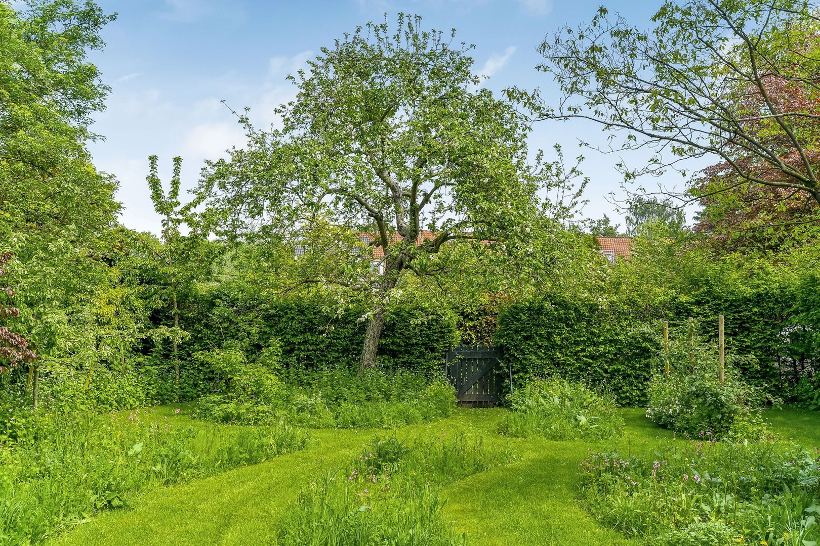 Koepoortstraat 44, Doesburg foto-75