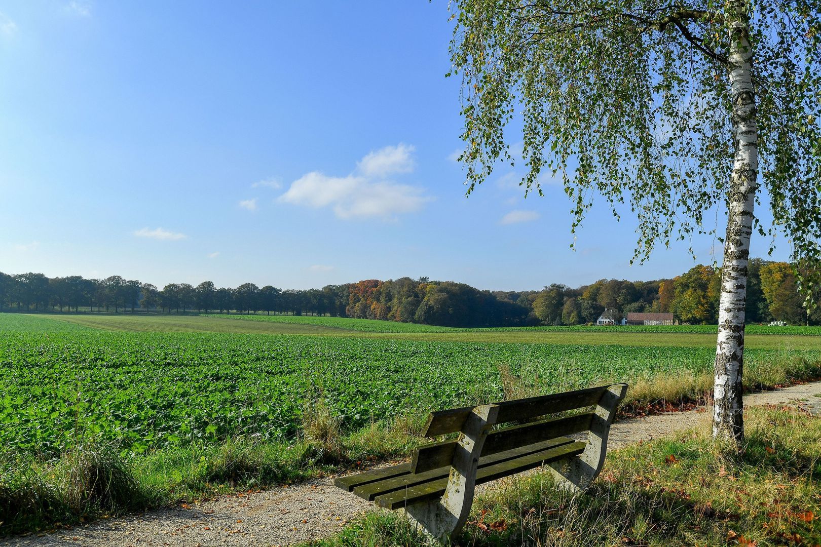 Bakenbergseweg 250, Arnhem foto-69