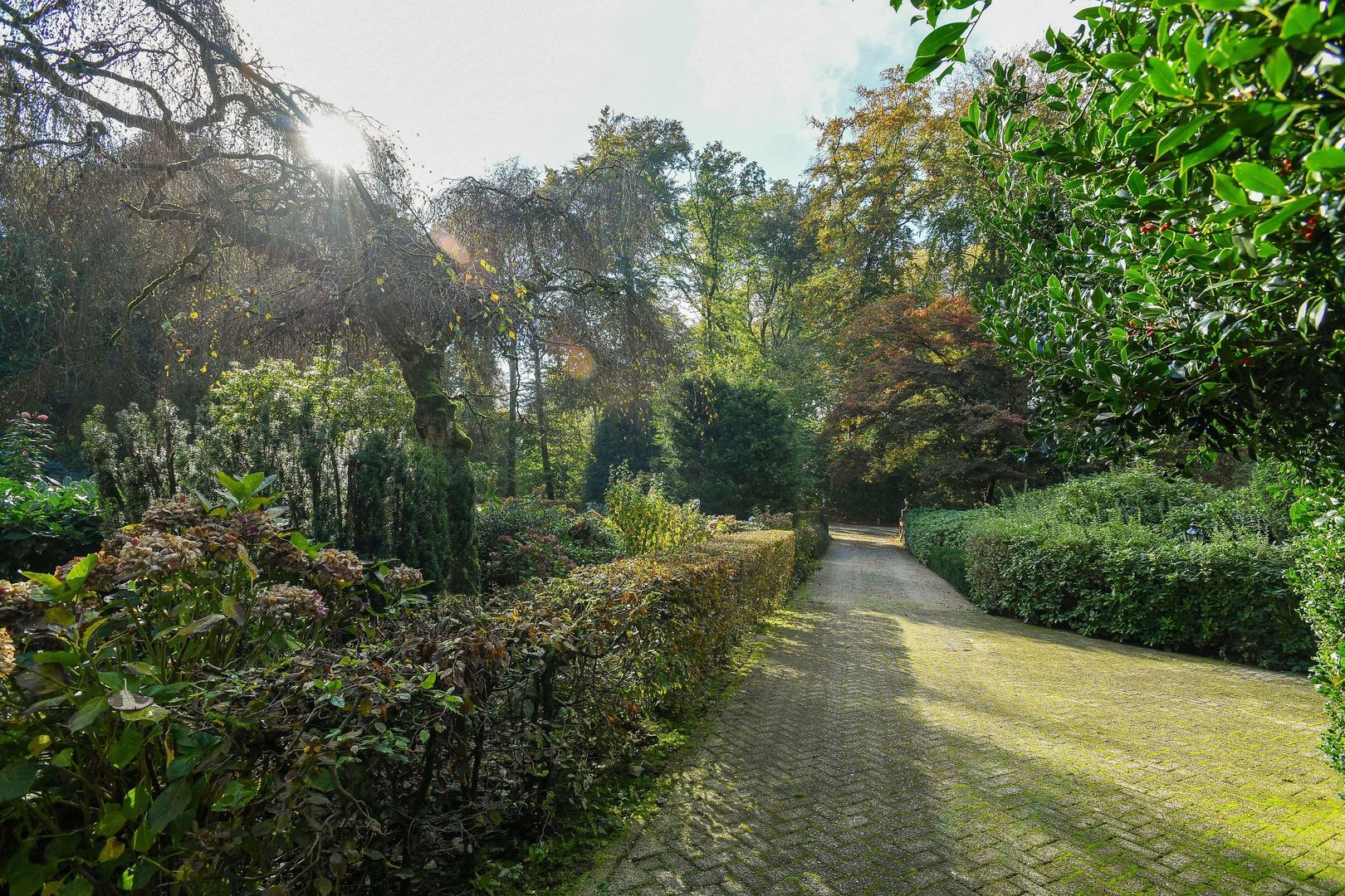 Bakenbergseweg 250, Arnhem foto-8