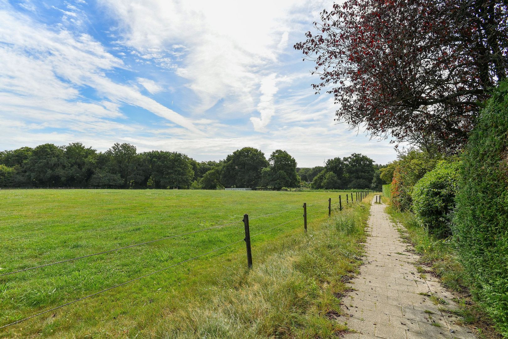 Kleiberglaan 8, Rozendaal foto-36