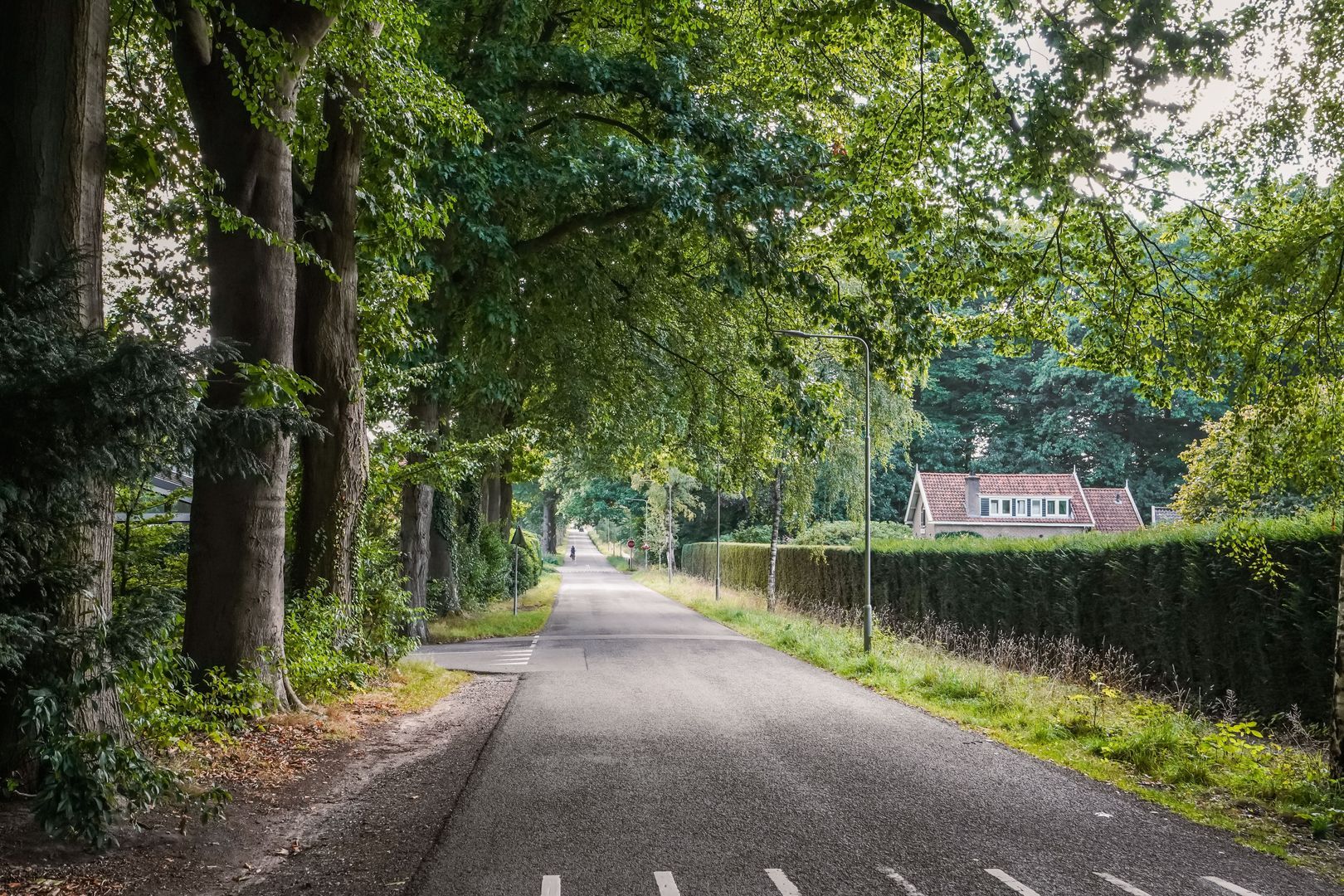 Scheidiuslaan 27, Arnhem foto-28