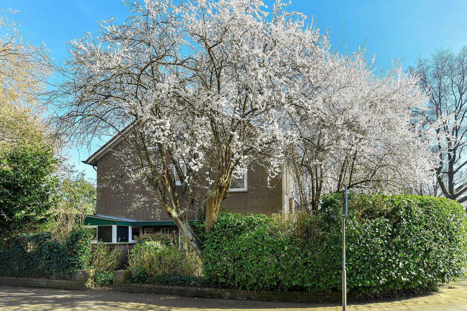 Bakenbergseweg 216, Arnhem foto-5