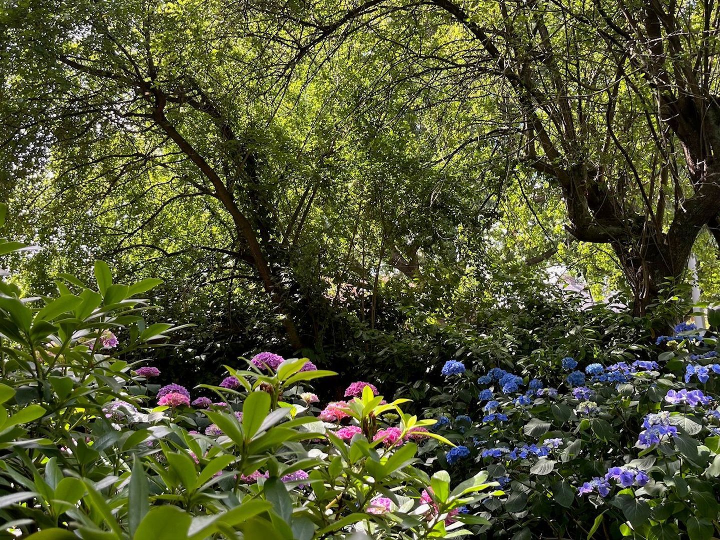 Bakenbergseweg 216, Arnhem foto-40