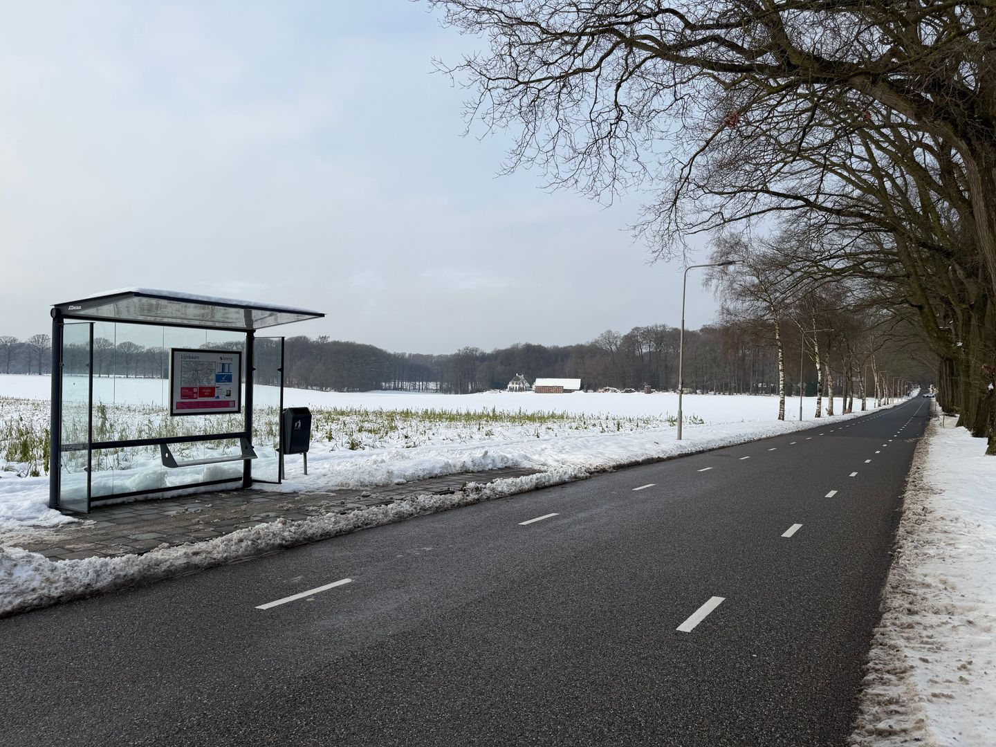 Scheidiuslaan 27, Arnhem foto-23