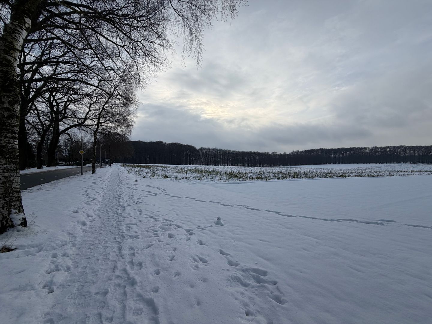 Scheidiuslaan 27, Arnhem foto-30