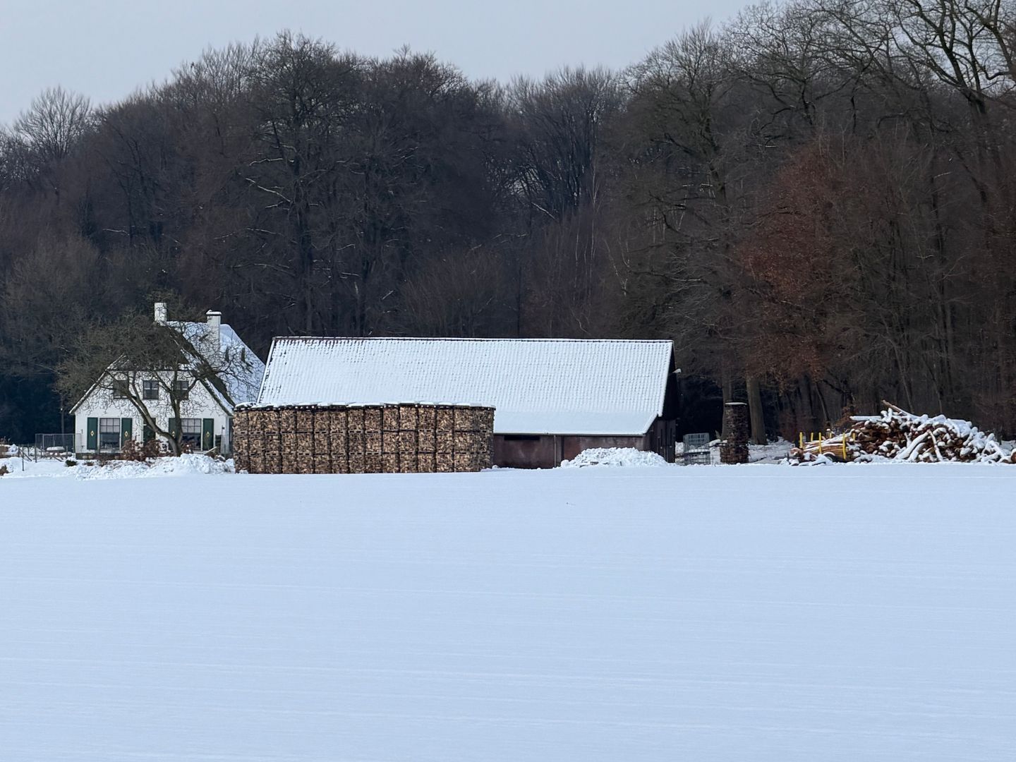 Scheidiuslaan 27, Arnhem foto-31