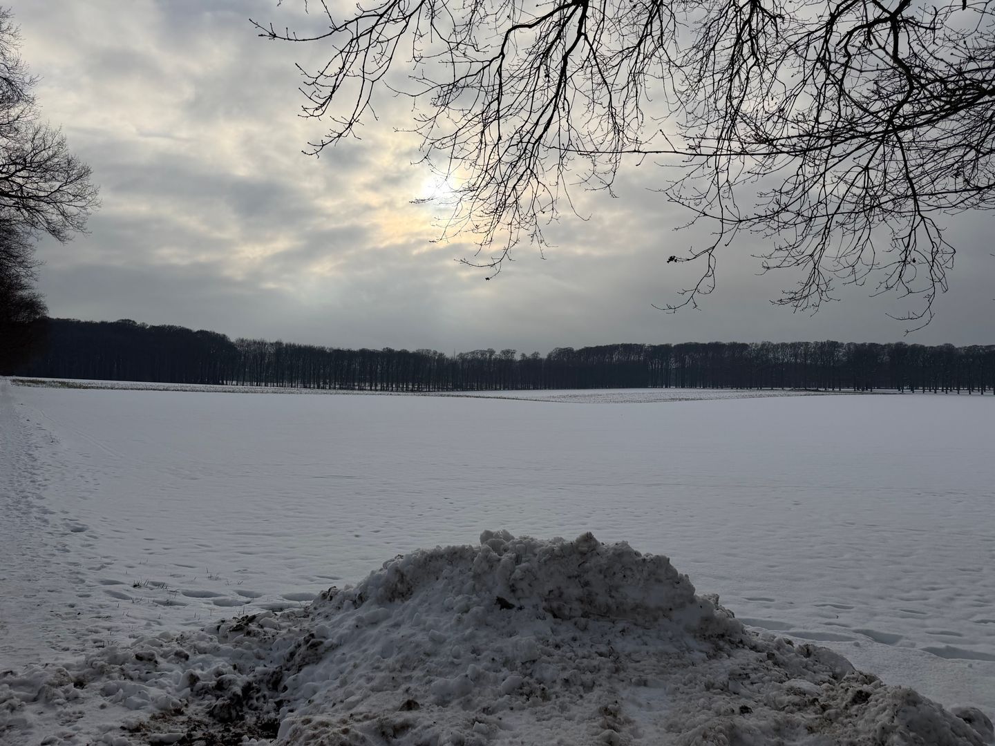 Scheidiuslaan 27, Arnhem foto-24