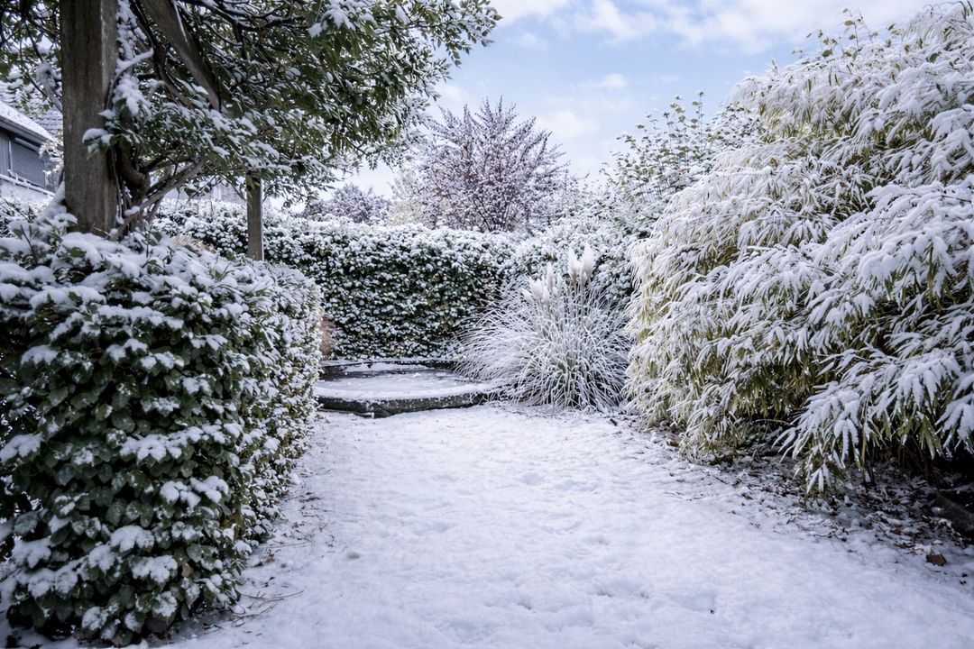 Scheidiuslaan 27, Arnhem foto-3