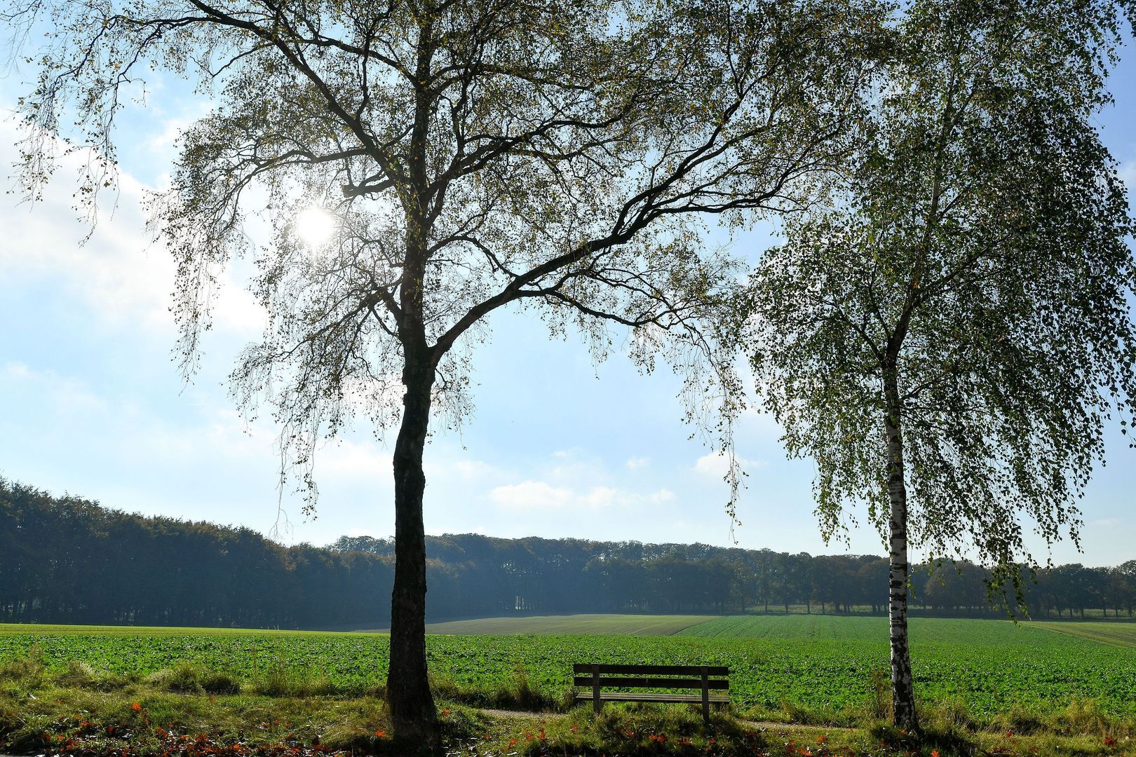 Bakenbergseweg 250, Arnhem foto-71