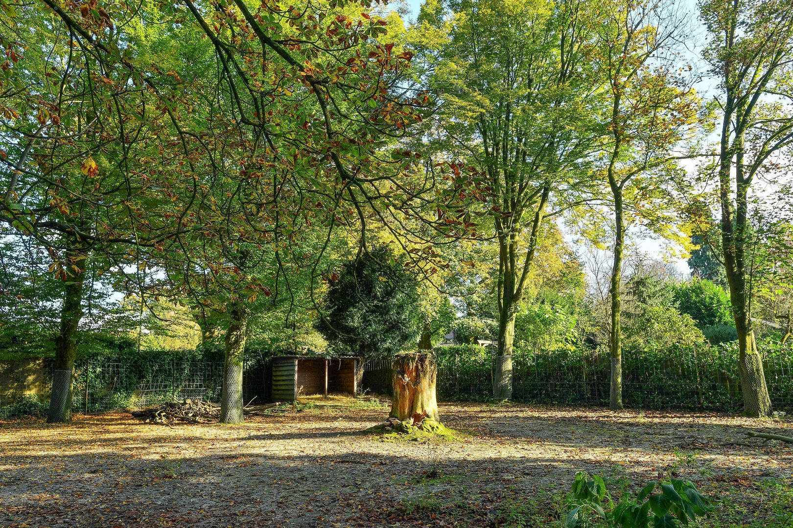 Bakenbergseweg 250, Arnhem foto-66